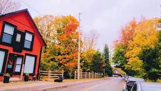 Countryside Fall Colors Ontario | Fall Foliage | Scenic Autumn in Americas
