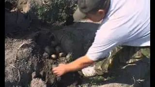 «Крестьянская застава», эфир 9 октября 2011 г