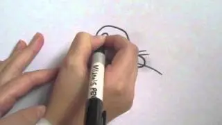 How to draw a cartoon Bunny