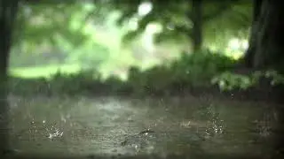 Drops of sky / Капли неба