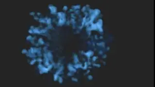 Shockwave1