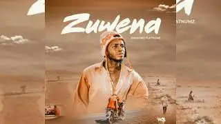 Diamond _ Platnamz _ Zuwena _Official Beat (#instrumental #SkDrummerBoy #Wasafi #subscribe #Zuchu