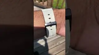 Biege Databank Watch from Casio