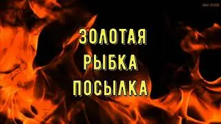Спиннинг для мормышинга