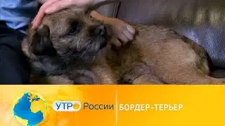 Программа 