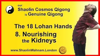 Qigong - 18 Lohan Hands #08 Nourishing Kidneys - School Principal Grandmaster Wong Kiew Kit