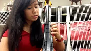 Two octave D Major scale tutorial on bass