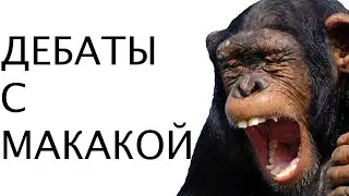 ДЕБАТЫ С МАКАКАМИ #1