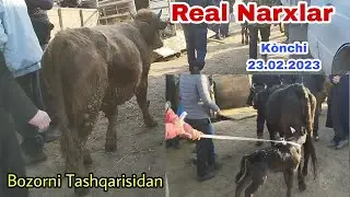 Sirdaryo Kònchi Sotilganlaridan Bozor Tashqarisidan 23.02.2023