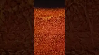 TOP 5 Photoshopped Videos Of Elisocray Pt.2