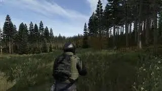DAYZ. Сервер Wildie после обновления