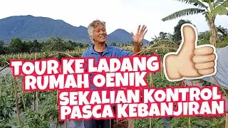Tour Ke Ladang Rumah Oenik Sekalian Kontrol Pasca Kebanjiran