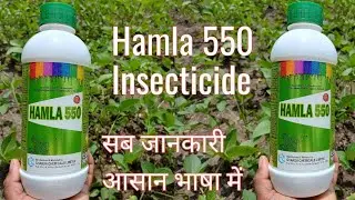 chlorpyrifos 50 + cypermethrin 5 ec uses in hindi || Hamla 550 Insecticide || a2z farming