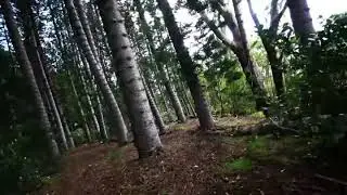 808 Zipline