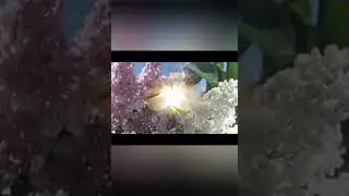 тебя судьба мне подарила