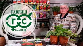 #Семена