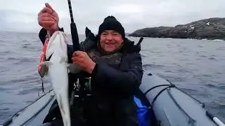 Териберка Баренцево море Рыбалка