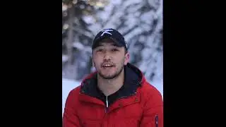 Сахалинский зимний лес