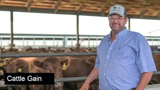 QLF Feedlot Testimonial - T&M Cattle Co.