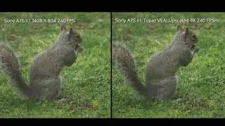 Sony A7S III 240 fps and Sony RX10 IV 480/960 FPS Topaz VEAI Upscale Test