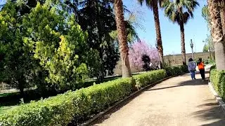 Последняя прогулка в Гранаде.
