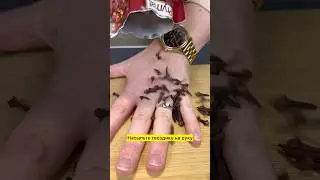 CLOVES FOR SKIN! ✅ Find out more about us on our Telegram channel: gerovfamily 