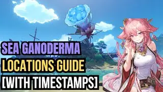 Sea Ganoderma Locations Guide | Genshin Impact [With Timestamps]