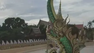 Самуи  Крик, кот зовет кошку