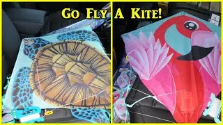 Go Fly A Kite