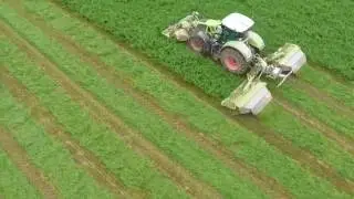 Récolte de luzerne avec une faucheuse conditionneuse CLAAS Disco