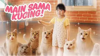 YUKA-CHAN MAIN SAMA BANYAK KUCING LUCU! | vlog