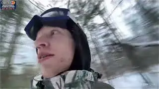 ПАРАДЕЕВИЧ ВСТРЕТИЛ ДИКОГО ЗВЕРЯ В ЛЕСУ / ПАРАДЕЕВИЧ,КОРЕШ,ДАНИЛА ГОРИЛЛА