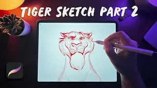 Drawing Tips in Procreate - Tiger Clean up Sketch (Part 2)