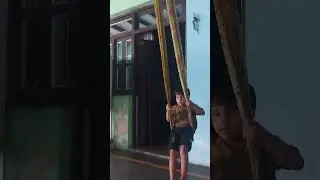 tauba