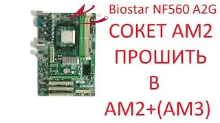 Прошивка сокета в АМ2 в АМ2+(АМ3) biostar nf560-a2g