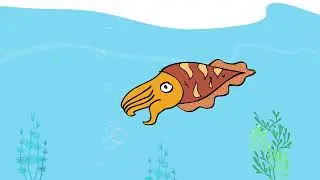 Water life Art