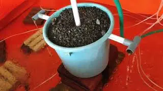 Untitled Random Video