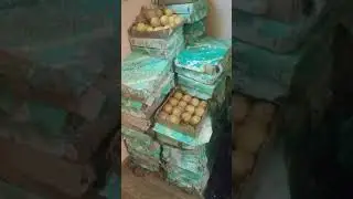 Бильярдные шары СССР(неолейкорит)