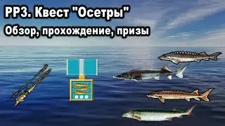 Русская рыбалка 3. Квест 