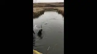 РЫБАЦКИЙ ЗАШКВАР / ТИК ТОК /Вот это рыбалка