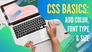 LEARN CSS IN 20 MINUTES | CSS TUTORIAL FOR BEGINNERS | Adding STYLE to HTML | STEP BY STEP 2024!