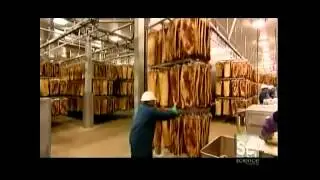 How It's Made Bacon Discovery Online