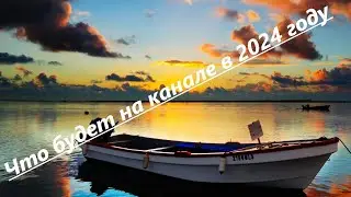 2024 год. Определимся как дальше?