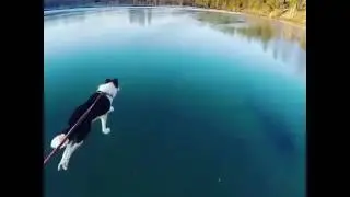 На коньках по чистому льду