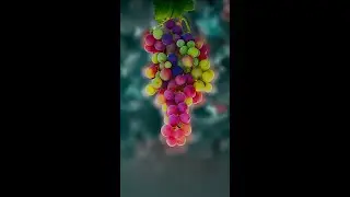 What a Beautiful Grapes #shorts #reels #photoshop #grape