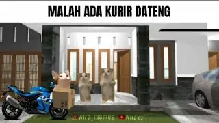 Lu Ketika Ditinggal Sendirian Di Rumah (Happy Cat Meme)