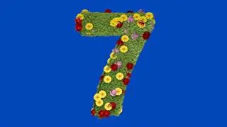 Floral flower grass countdown || BLUE SCREEN || See description for Original file download ||