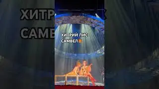 #short #shorts #shortvideo #самвеладамян #самвел #театр #українськаказка