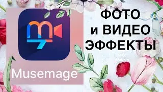 Musemage : фото и видео эффекты для iOS и для Android