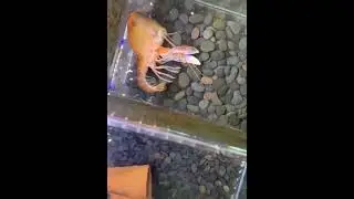 переоделся